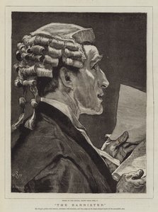 De Advocaat