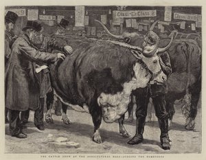 De Vee Show in de Landbouwhal, beoordeling van de Herefords