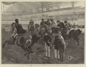 De Islington Paardenshow, Beoordeling van Gewichtdragende Jagers