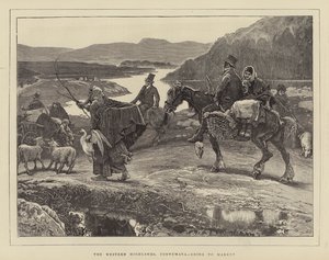 De westelijke hooglanden, Connemara, op weg naar de markt