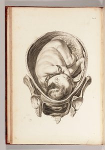 Gravure van een kind in de baarmoeder uit Een Set Anatomische Tafels, met Verklaringen, en een Samenvatting van de Praktijk van Verloskunde, 1754