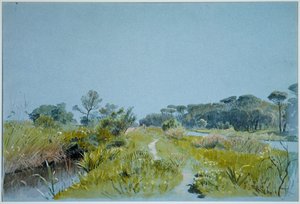  door William Stanley Haseltine