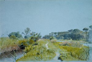 Castel Fusano bij Rome door William Stanley Haseltine