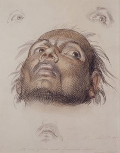 Studie van een Oost-Indisch Hoofd, c.1875 door William Strutt