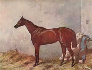 Kluizenaar: winnaar van de Derby Stakes in Epsom, 1867, 1903
