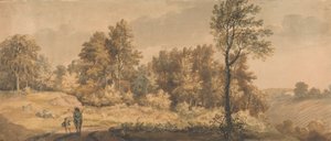 Landelijk landschap