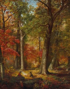 Herfstbossen
