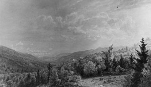 Vanuit het Flume House, Franconia, New Hampshire, 1872 door William Trost Richards