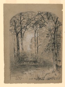 Landschap