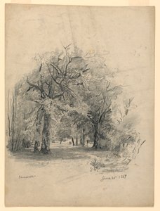 Landschap, Darmstadt, Duitsland