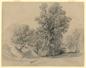 Landschap, Lauterbrunnen, Zwitserland