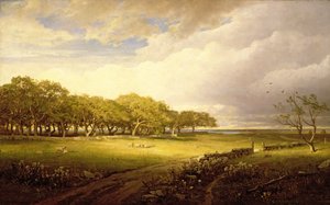 Oude boomgaard in Newport