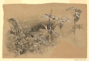 Studie van gebladerte door William Trost Richards