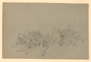 Studie van Bladgroen door William Trost Richards