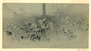 Studie van Bladeren door William Trost Richards