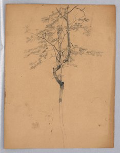 Studie van Bladeren door William Trost Richards