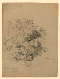 Studie van gebladerte door William Trost Richards