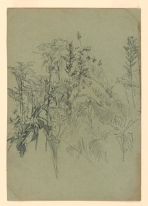 Studie van gebladerte door William Trost Richards