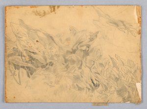 Studie van gebladerte door William Trost Richards