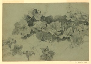 Studie van Bladgroen