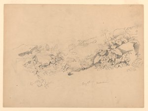 Studie van gebladerte, Trachselwald, Bern, Zwitserland
