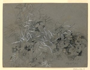 Studie van violette bladeren en gras door William Trost Richards