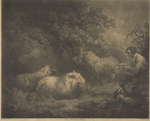 De Herderjongen