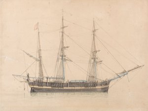 De Walvisvaarder "Truelove" van Hull