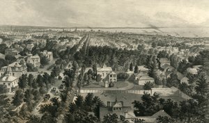 Stad van Buffalo, 1872 door William Wellstood