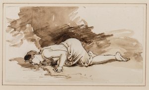 Narcissus