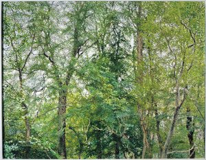 De Jubileumplantage