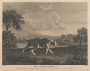 De Spaanse Wijzer door William Woollett
