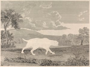 [Schieten] De Spaanse wijzer
