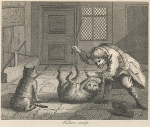 De rattenvanger en katten