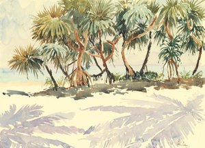 735 Stro bomen, Bentota door Wilson Clive