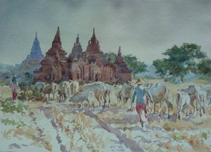 928 Bagan, naar huis drijven