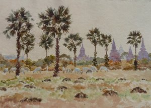 935 Blauwe koeien en palmetto