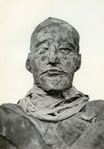 Hoofd van de mummie van Ramses III, Oude Egyptische farao van de 20e Dynastie, ca. 1156 v.Chr. 1926