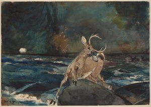  door Winslow Homer