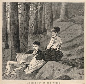 Een rustige dag in het bos, uit Appletons