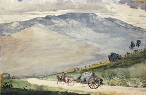 Een Volante op een bergweg, Cuba, 1885 door Winslow Homer