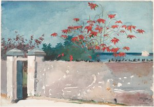 Een muur, Nassau door Winslow Homer