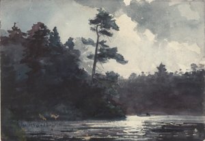 Adirondackmeer door Winslow Homer
