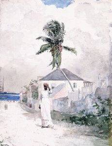 Langs de Weg, de Bahama