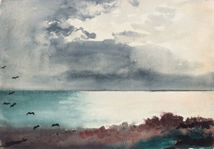 Stormbreuk, Kust van Maine door Winslow Homer