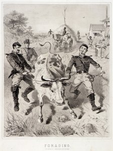 Campagne Schetsen: Foerageren door Winslow Homer