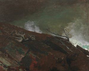 Kust van Maine, 1893