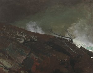 Kust van Maine, 1893 door Winslow Homer