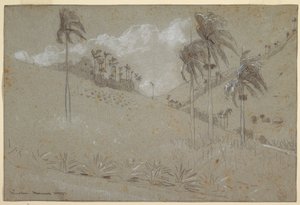 Tekening, Cubaanse helling, 1885 door Winslow Homer