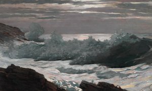 Vroege ochtend na een storm op zee door Winslow Homer